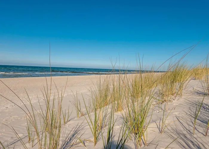 度假居 Ostsee Pruchten